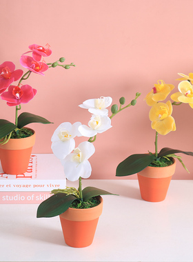 蝴蝶兰小盆栽假花装饰摆件