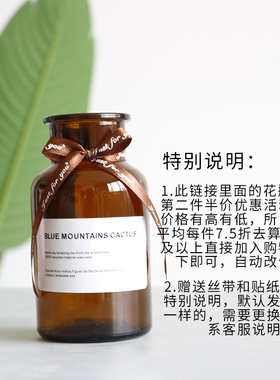 小花瓶客厅插花玻璃花器