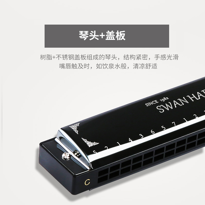 美博乐器专营店天鹅口琴儿童初学者学生成人高级24孔复音c调专业入门口风琴乐器2