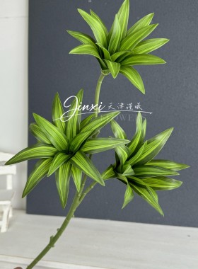 3叉金边百合竹 仿真绿植手感胶片布造景装饰花紫露草高品质叶材