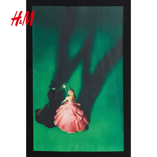 【Wicked & H&M合作系列】女装T恤夏季印花圆领短袖1251342 - 图0