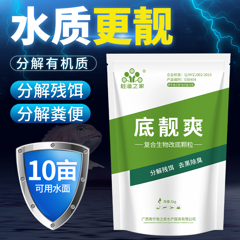 底靓爽生物底改王水产养殖虾塘鱼塘改底净水除臭降解氨氮亚硝酸盐 - 图1