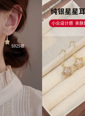 纯银星星耳环2025新款轻奢高级感