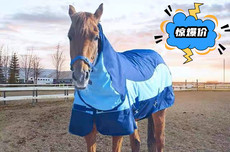 попона 冬季马衣 秋冬款带脖马衣带头套 900d防水面料 400g加厚棉包邮