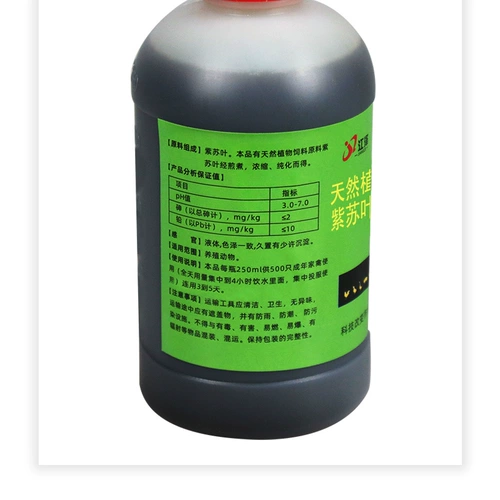 Цыпленка для лечения прыщей курицы от прыщей фазана заживаем