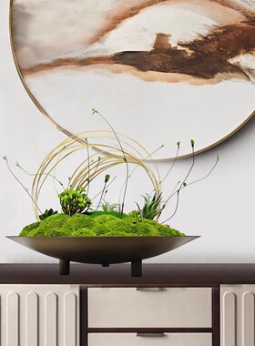 仿真花艺苔藓餐桌绿植盆景摆花