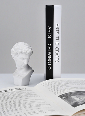 简约现代仿真书时尚摆件道具书籍