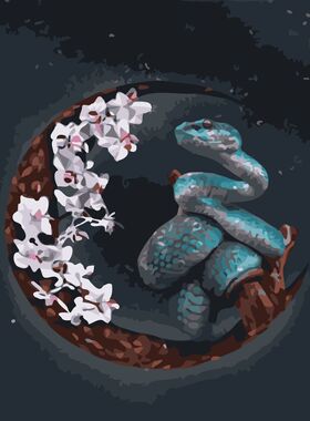 数字油画材料包丙稀中欧解压调节