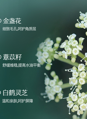 温和清洁洗卸合一玉女花容洁颜霜