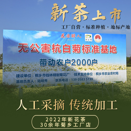 花亦醉人 头采胎菊50g菊花茶正品罐装桐乡杭白菊熬夜泡水 - 图0