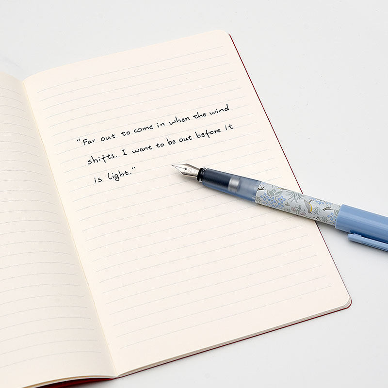 kaco×V&A博物馆联名系列SKY百锋KACO钢笔学生书写练字商务办公送礼钢笔墨水笔男女用EF钢笔 附带旋转吸墨器 - 图2