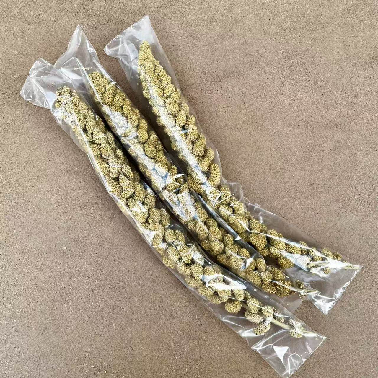 黄谷穗 红谷穗 稻穗 天然穗子 鸟零食  仓鼠零食 逗鸟 小包装,淘宝优惠券,粉丝福利购,淘宝优惠卷