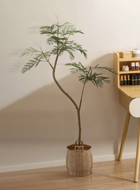 蓝花绿植海虹雅林高端植物摆件