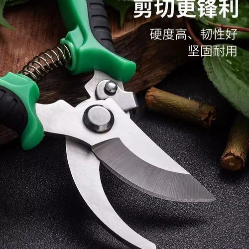 果树修枝剪修枝剪刀剪树枝修剪树树剪子园林园艺剪刀花艺专用剪刀 - 图1