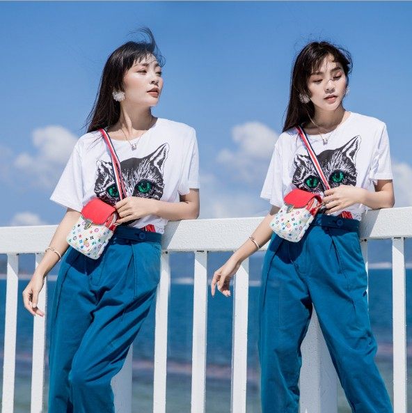 2020新款装手机的小包竖款袋单肩包 艾琪伊手机包