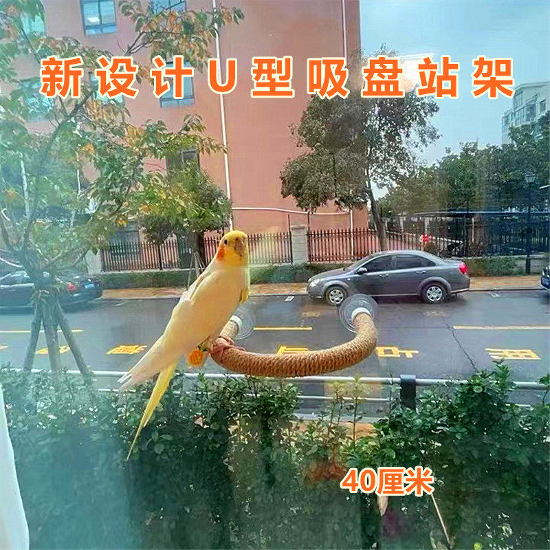鹦鹉站架多用途麻绳吸盘玻璃站杠棍架子玩具笼子玄凤虎皮鸟站杆,淘宝优惠券,粉丝福利购,淘宝优惠卷
