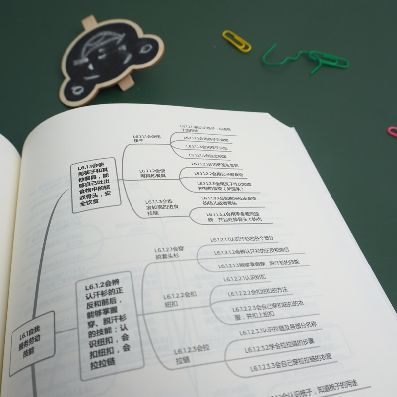 图解培智学校课程层级目标体系 大夏书系 特教教师备课指南 教师专业发展 培智学校 特殊教育 正版 华东师范大学出版社