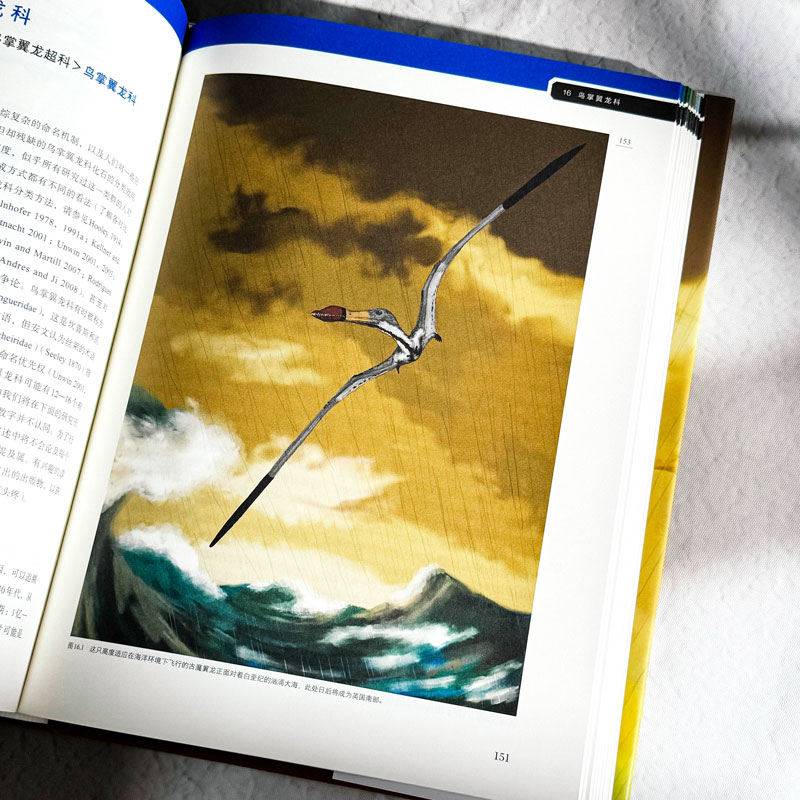 翼龙 自然史 恐龙演化 解剖学 史前生命丛书 科普读物 200幅精美插图 精装 华东师范大学出版社 - 图2