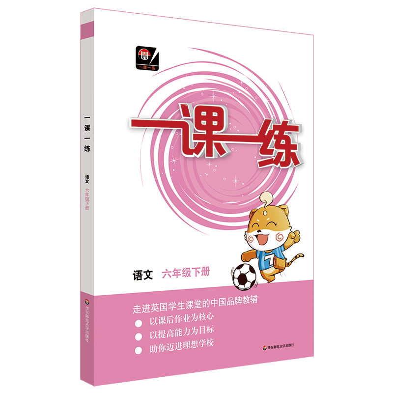 全国版一课一练语文六年级下册统编版时同步练习册6年级第二学期统编版小学语文教材配套正版华东师范大学出版社-图3