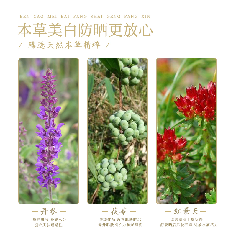 百雀羚气韵50+隔离女面部防晒霜 悦驰天下化妆品专营防晒霜