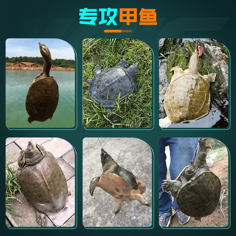威拓森新型甲鱼钩全套甲鱼针神器捕捉器专用钩钓鳖钩子钓王八钩,淘宝优惠券,粉丝福利购,淘宝优惠卷