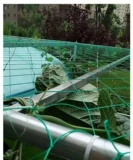Tyed Vinenin Fruit Network Paixiang Fruit Network Vineyard Net посадка сеть зелень зеленой тыквы чистая арбуза Net Net Doudou Corner Net