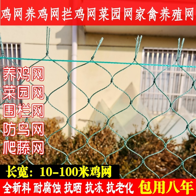 围栏养鸡网尼龙网菜园防乌防护网塑料网防鸟养殖网拦鸡网子爬藤网 - 图1