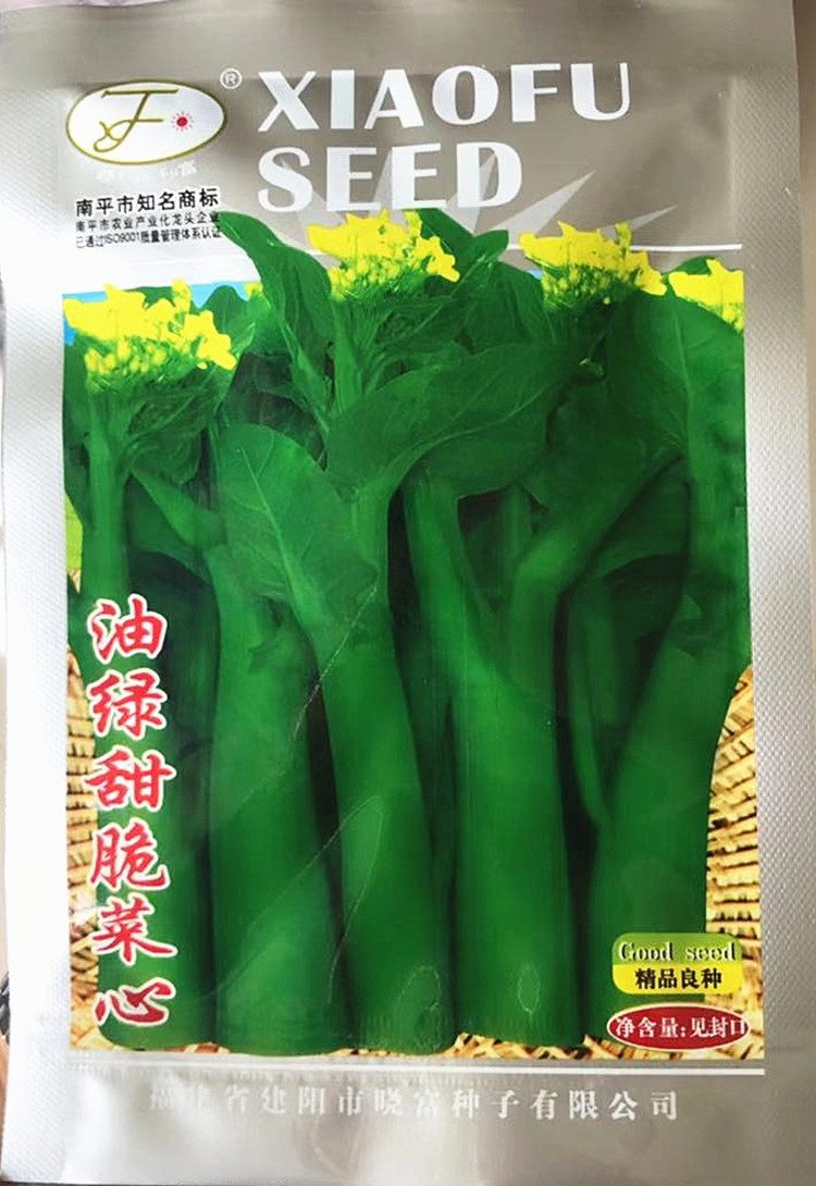 菜苔种子四季 新人首单立减十元 21年8月 淘宝海外 菜苔种子四季 新人首单立减十元 21年8月 淘宝海外