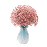 Полный тиансинг сухой цветок