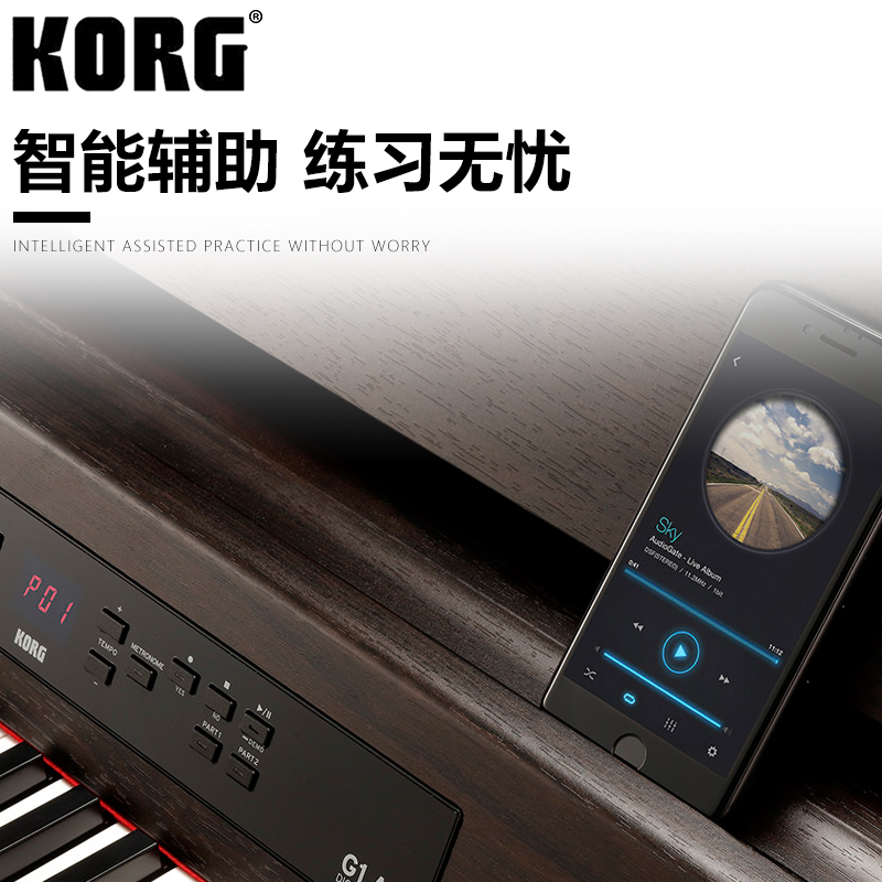 科音KORG电钢琴G1 成人家用数码钢琴88键重锤专业考级 rh3琴键 - 图2