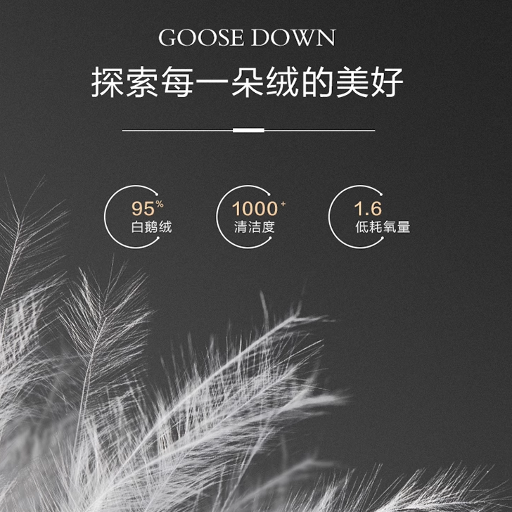 洲际五星级酒店专用95%白鹅绒枕头A类100%羽绒枕芯护颈家用一对装,淘宝优惠券,粉丝福利购,淘宝优惠卷