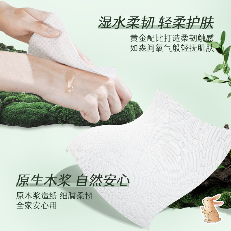 蓝漂挂式抽纸大包悬挂式纸巾家用餐巾纸整箱面巾卫生纸厕纸实惠装,淘宝优惠券,粉丝福利购,淘宝优惠卷