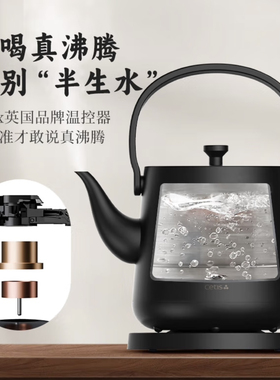 CETIS美爵信达提梁电热水壶304不锈钢烧水壶双层防烫家用泡咖啡壶
