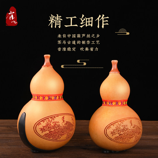 Einführung in den Quexin Hulusi Musical Instruments Flagship Store für Anfänger