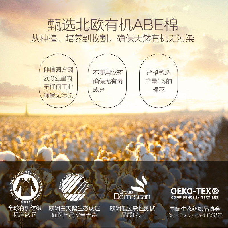  nat海外卫生棉条