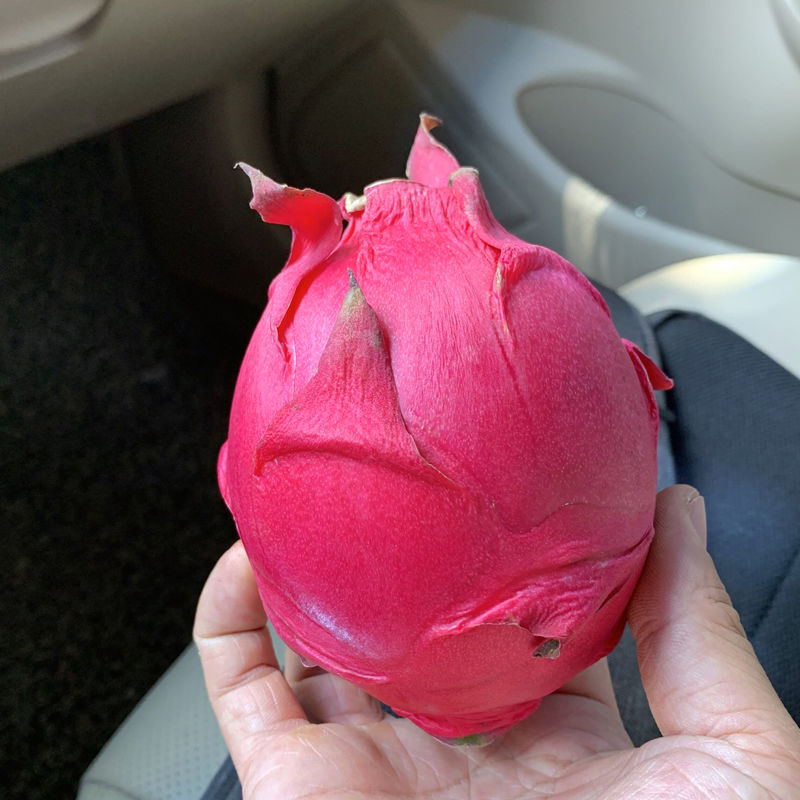 御农哥旗舰店正宗金都红心 当季广西金都一号蜜宝红心火龙果红肉新鲜水果5斤0