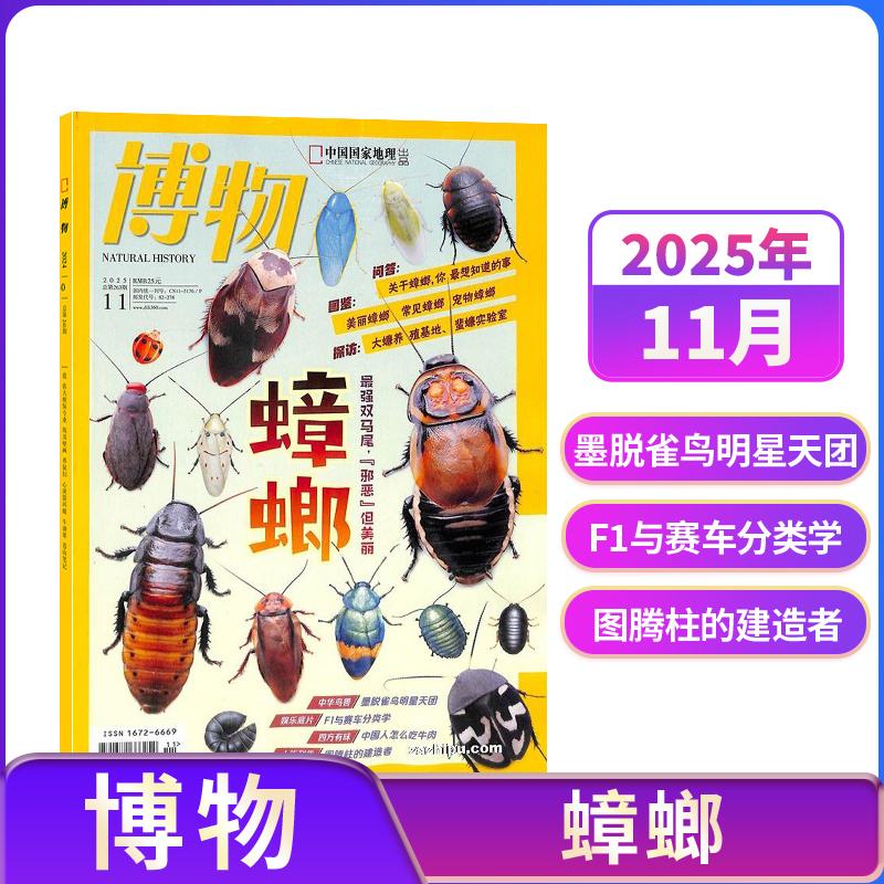 【单期订阅】博物杂志 2024年单期季度半年 2024年全年组合订阅 杂志铺 博物增刊典藏版中国国家地理青春版青少年科普课外阅读期刊