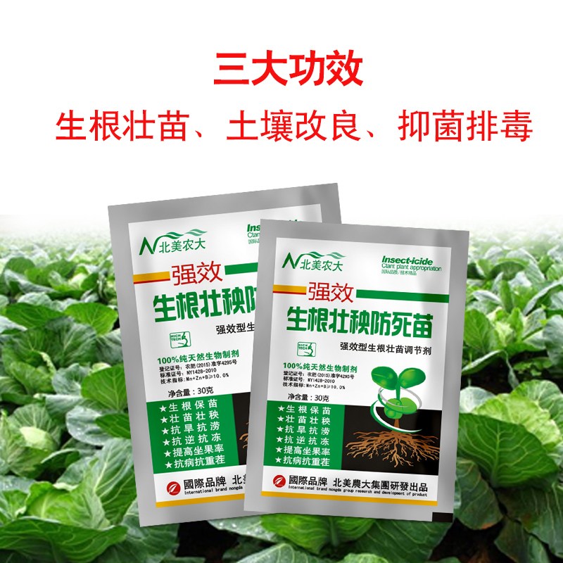 生根壮秧防死苗叶面肥保苗壮苗壮秧抗重茬生根壮苗剂花卉植物通用 - 图0