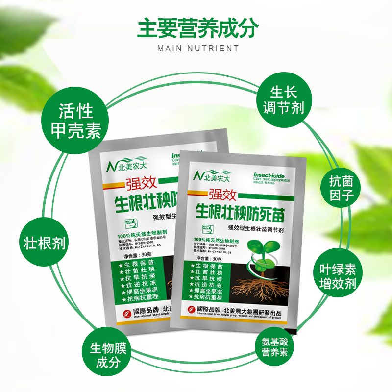 生根壮秧防死苗叶面肥保苗壮苗壮秧抗重茬生根壮苗剂花卉植物通用 - 图1