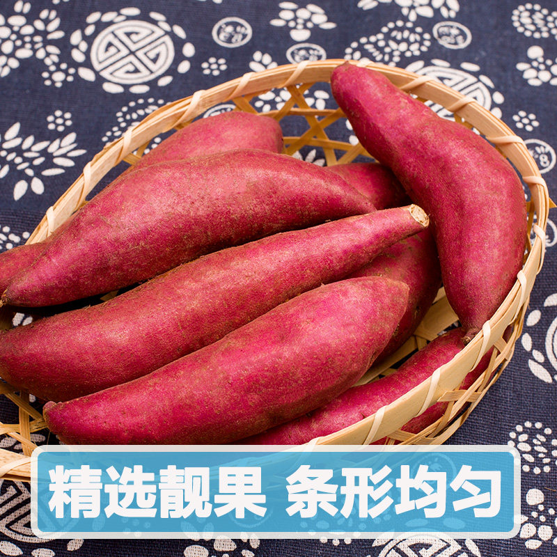 【精品果】新鲜5斤山芋板栗3小红薯 果志番薯