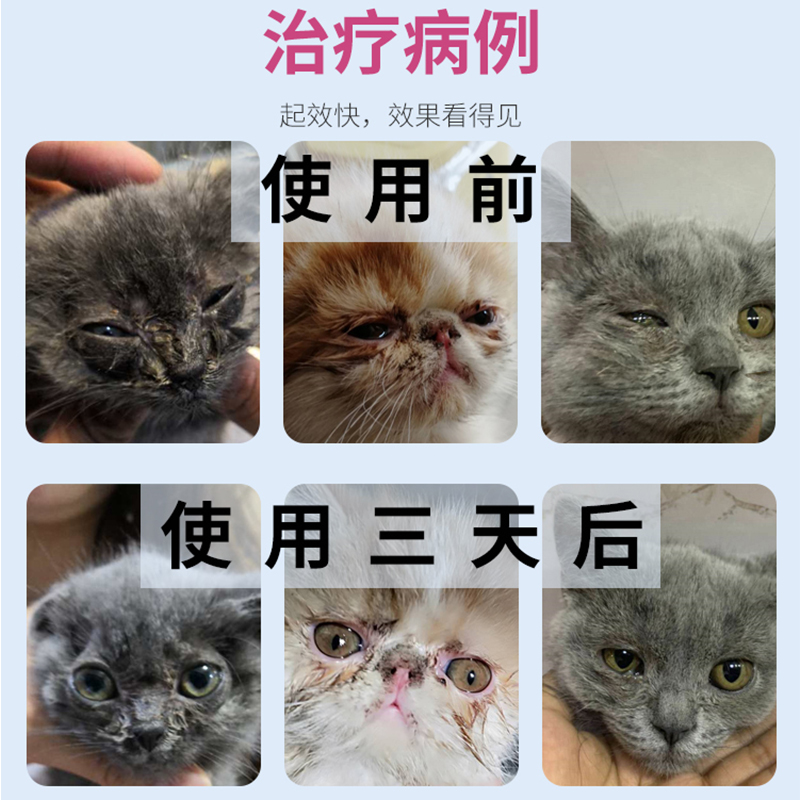 博莱得利滴眼液滴鼻液猫鼻吱疱疹杯状病毒猫咪眼药水治疗药猫鼻支 - 图0