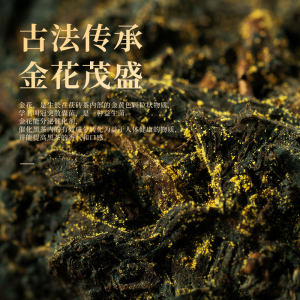 2011陈料金花茯砖茶湖南安化黑茶怡清源旗舰店道地茯1kg正品