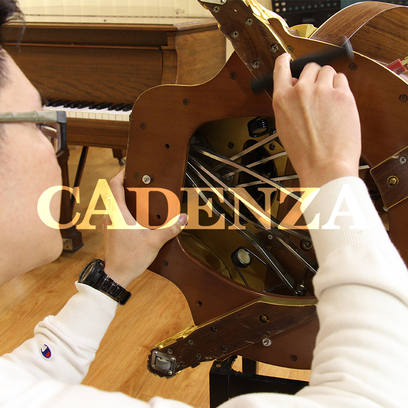 【竖琴维修保养】卡丹萨专业竖琴维修上门服务日本意大利美国琴-图1