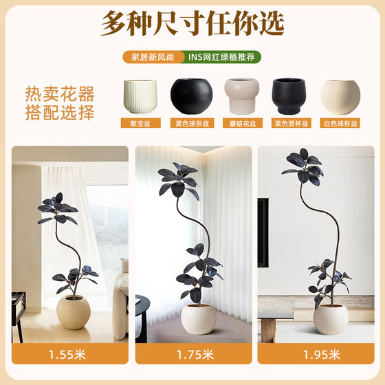 Simulated Black Diamond Rubber Tree Living Room Large Potted Plant Advanced