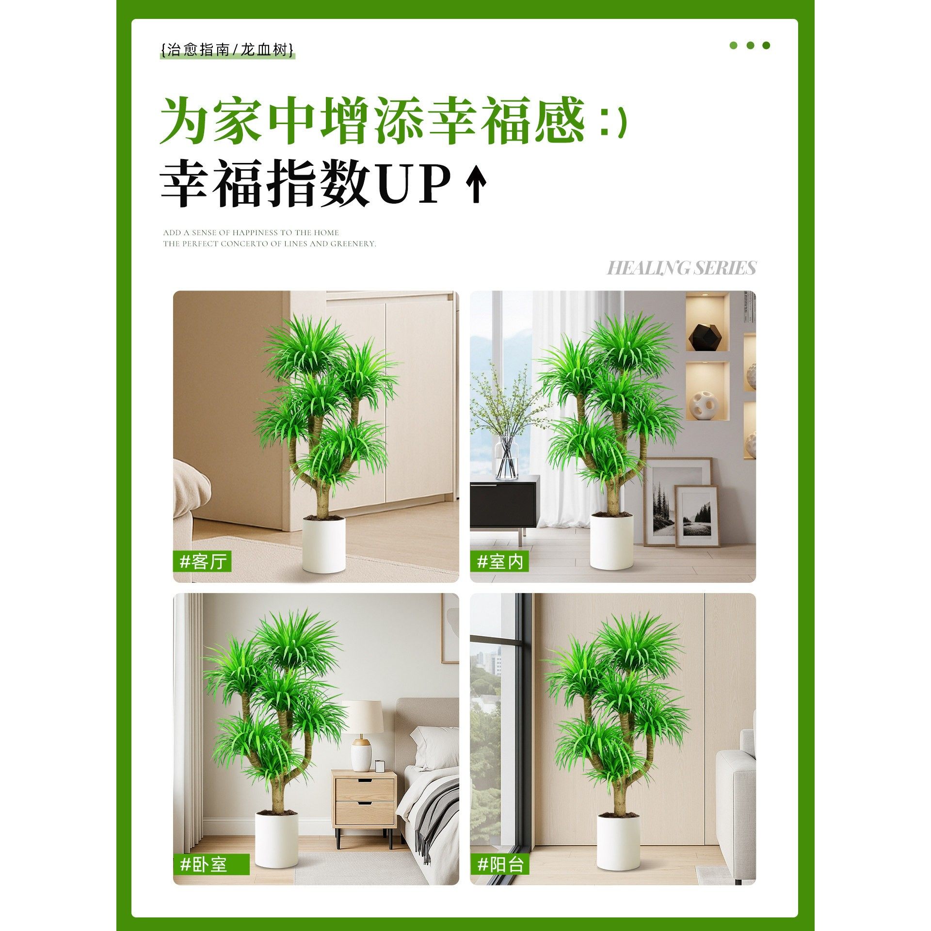 龙血树客厅绿植盆栽真树办公室内大型老桩盆景招财旺宅多头龙须树,淘宝优惠券,粉丝福利购,淘宝优惠卷