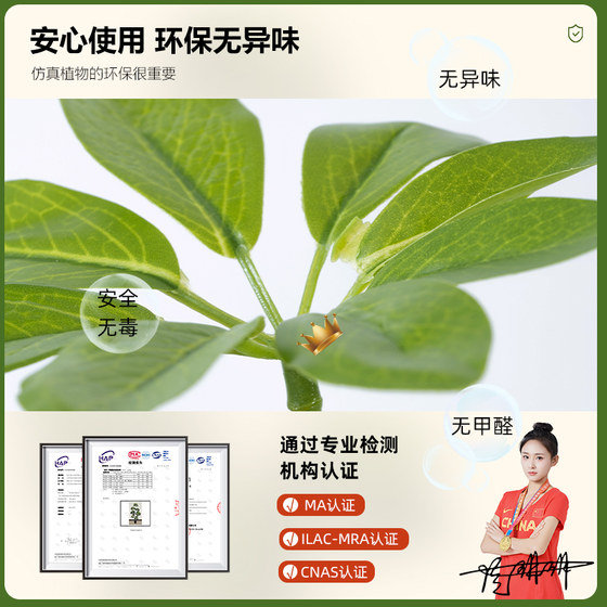 Simulated green plants, high-end light luxury duck foot wood indoor potted plants, large bionic plants, fake trees, living room decorations