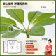 Simulated green plants, high-end light luxury duck foot wood indoor potted plants, large bionic plants, fake trees, living room decorations