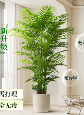 【法式中古风软装绿植】