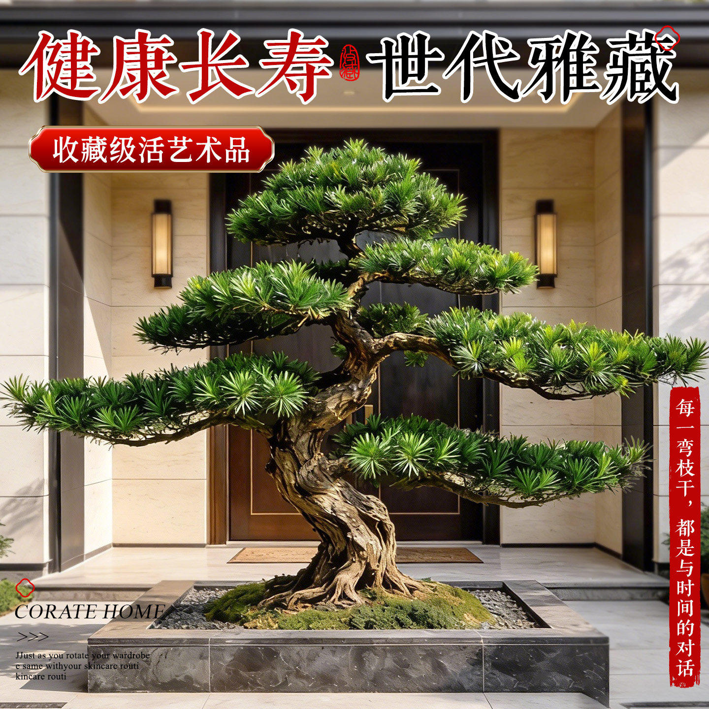 特大罗汉松盆景落地迎客松真树庭院造型老桩旺宅风水树室内外好养,淘宝优惠券,粉丝福利购,淘宝优惠卷