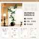 Simulated fake green plants decorating the black diamond rubber tree room